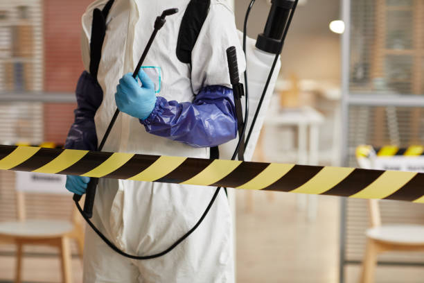 Professional Hoarding Cleanup technician working in Vallecito, CA